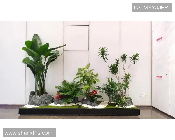 盆栽之美：探索如何通过盆栽装饰提升家居环境与心灵享受