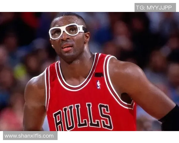 公牛的力量与精神：探究其在文化、历史和体育中的象征意义